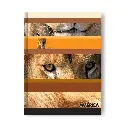 Cuaderno América tapa Cartón, 16 x 21cm. 42 hojas rayadas