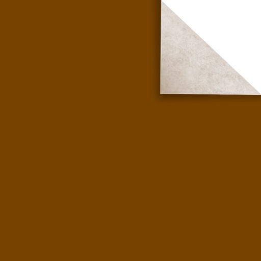 [PAPAFICHEMAR] Papel Afiche marrón, pack de 20 unidades