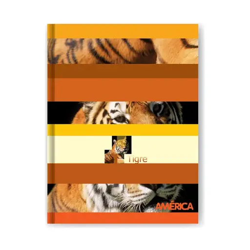 [AMERTC82RAYA] Cuaderno América tapa cartón, 16x21cm. 82 hojas rayadas