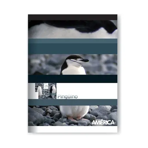 [AMERTF48RAYA] Cuaderno América tapa flexible, 16x21cm. 48 hojas rayadas